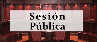 Sesión Pública - 01 de mayo de 2024
